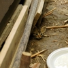 Family Pest Control gallery