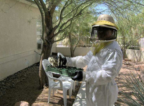 BeeWise Pest Control - Las Vegas, NV