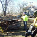 J&T Tree Care - Tree Service