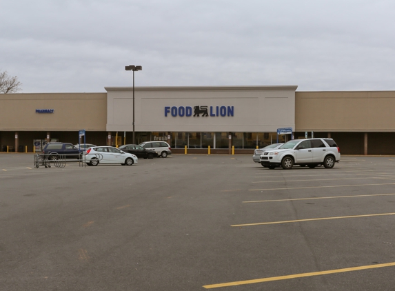 Food Lion Pharmacy - China Grove, NC