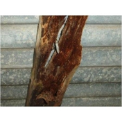 Gallery Image Number 8
