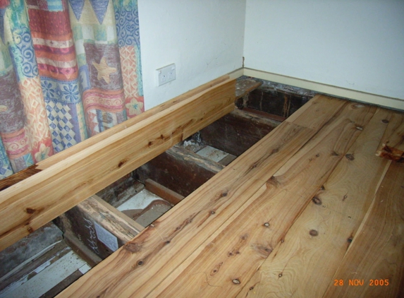Systems Pest Management Pty Ltd - Thornleigh, NSW