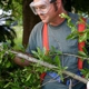 Mark Davidson Tree Service