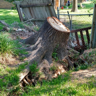 Jimmy's stump grinding service - Texarkana, TX