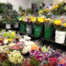 Travis Wholesale Florists - Florists Supplies