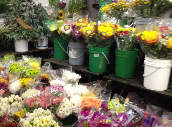 Travis Wholesale Florists - San Antonio, TX