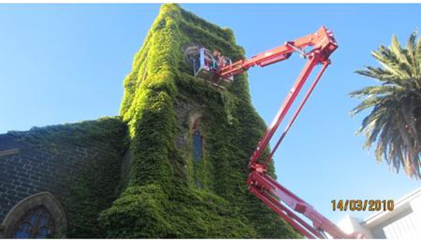 Professional Tree Care Services - Kew, VIC. Confined access