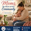 Anne Scharp - GEICO Insurance Agent - Insurance