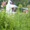 Midwestern Termite & Pest gallery