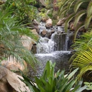 Waterscape Creations Inc - Ponds & Pond Supplies