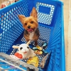 Petsense by Tractor Supply gallery