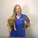 CityVet | Rockwall - Pet Services