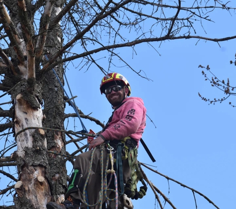 BeaverJack Tree Service, LLC - Natrona Heights, PA