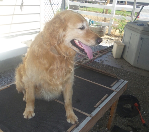 Jan's Puppy Hutt - Burney, CA