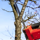 Daves Tree and Shrubs - Tree Service