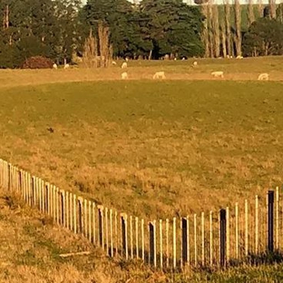 Harveydale Fencing - Westbury, TAS