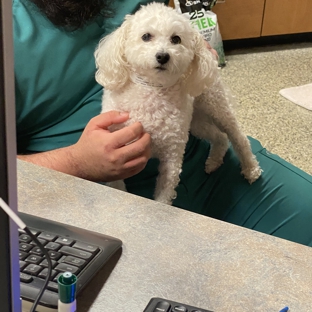 VCA Animal Care Center of Chicago - Chicago, IL