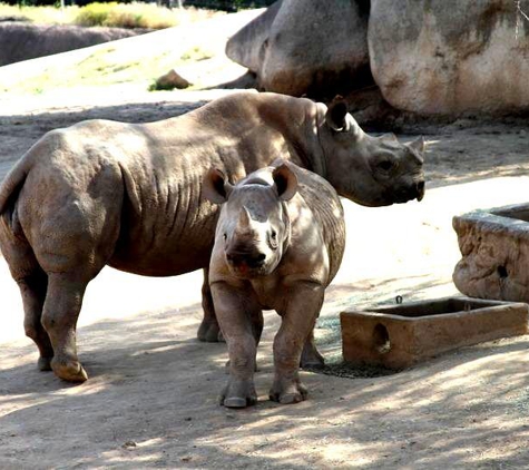 San Diego Zoo - San Diego, CA