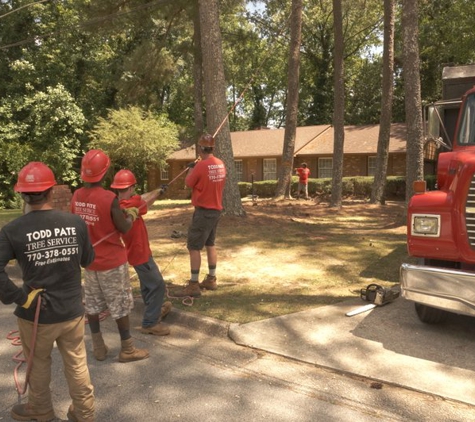 Todd’s Marietta Tree Services - Marietta, GA