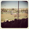 Livermore Rodeo Association gallery