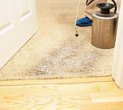 AAA Carpet Care - North Charleston, SC