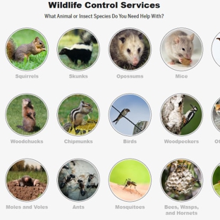 ABC Humane Wildlife Control and Prevention Inc. - Schaumburg, IL