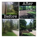 Above & Beyond Tree and Shrubbery Service - Cleaning Contractors