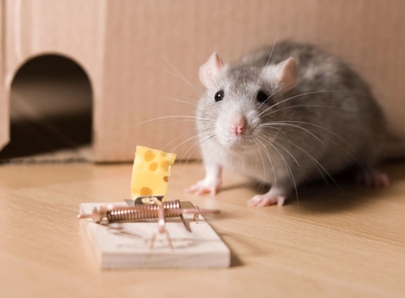 Sterling Pest Control Pty Ltd - Maroota, NSW
