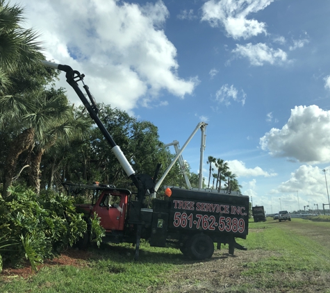 Tree service inc - Royal Palm Beach, FL