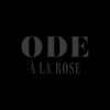 Ode à la Rose DC gallery