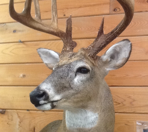 Island Taxidermy - Roper, NC