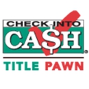 Check Into Cash - Check Cashing Service