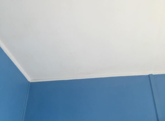 Blue Ice Cleaning Services - Smithtown, NSW