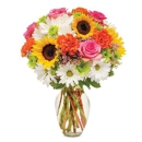 Postmaster Cottage Flowers - Florists