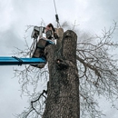 Lakes Tree Service LLC - Tree Service