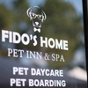 Fidos Home Pet Inn & Spa gallery