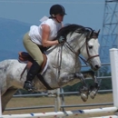 Palo Cedro Sport Horses - Horse Training