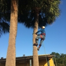 Richie Reach Tree Service Inc - Tree Service