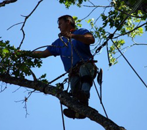 High Sierra Tree Service - Grass Valley, CA