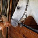 Walnridge Equine Clinic - Veterinarians