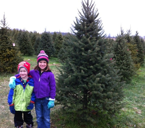 Dull's Tree Farm - Thorntown, IN