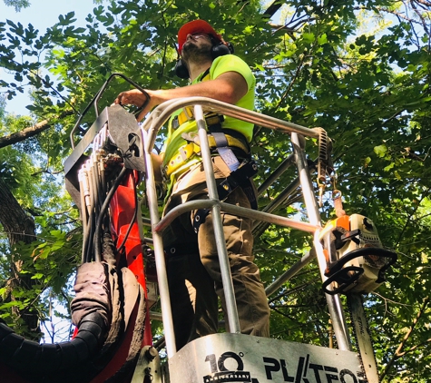 Huff's Tree Service - Wichita, KS