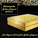OMI Organic mattress Superstore by Ostrow Savvy Rest DC ,VA, MD dealer - Mattresses