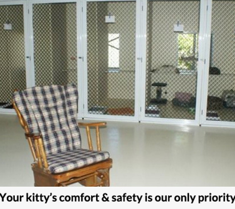 Simply Catz - Jensen, QLD. Your kitty’s comfort & safety is our only priority.