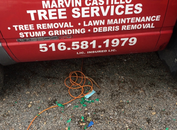 Marvin Castillo Tree and Landscaping Service - port washington, NY