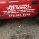 Marvin Castillo Tree and Landscaping Service