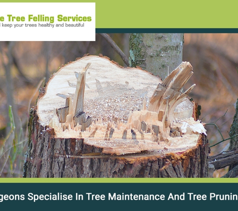 Adelaide Tree Felling Services - Glynde, SA. Our Tree Surgeons Specialise In Tree Maintenance And Tree Pruning In Adelaide