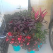 Gallery Image Number 2
