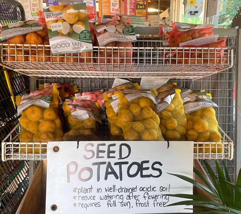 Highfields Garden Centre - Highfields, QLD