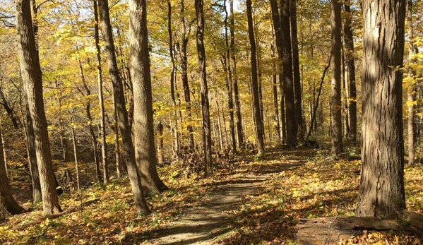 Palisades-Kepler State Park - Mount Vernon, IA